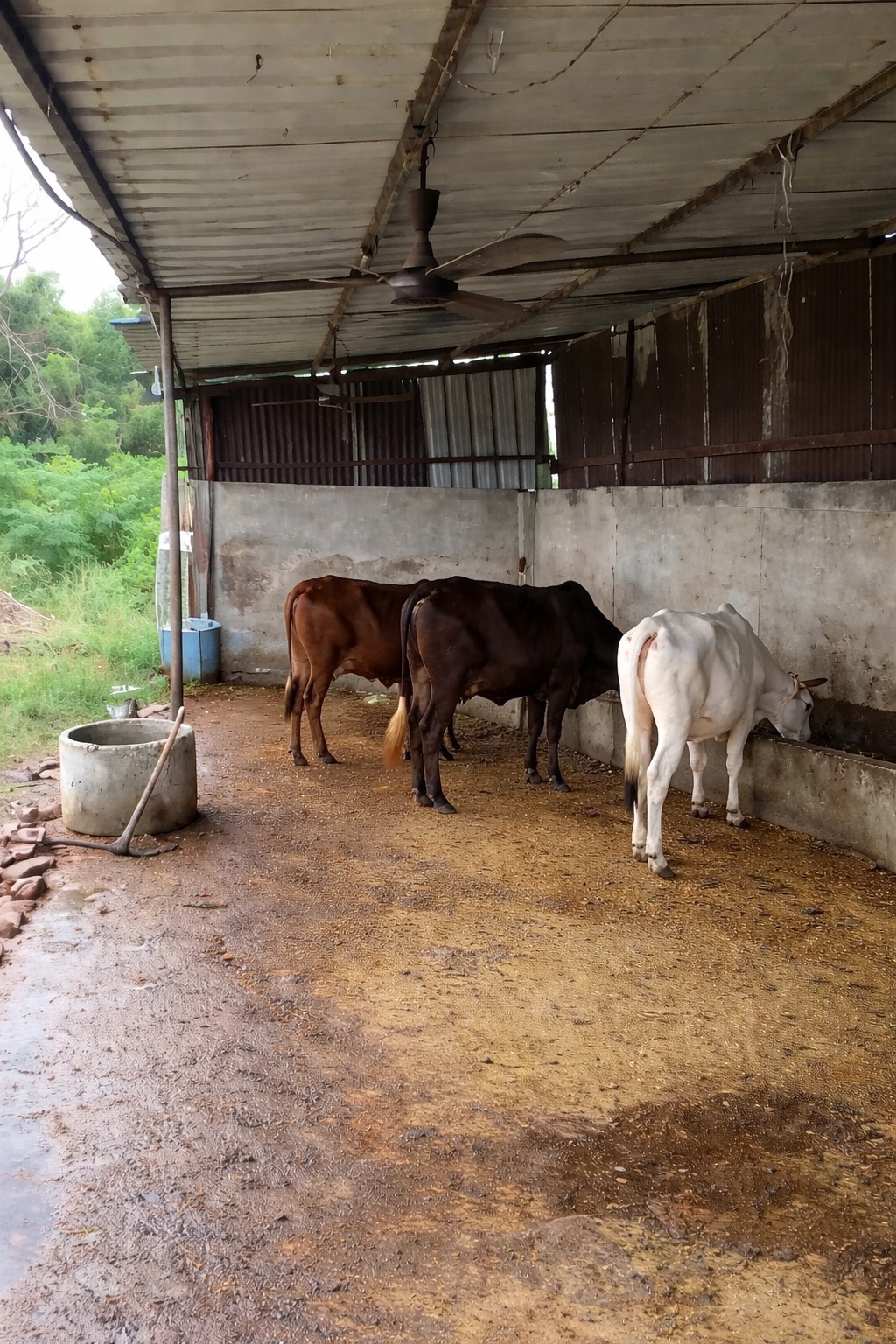 1769341555_WhatsApp Image 2026-01-25 at 14.03.17.jpeg